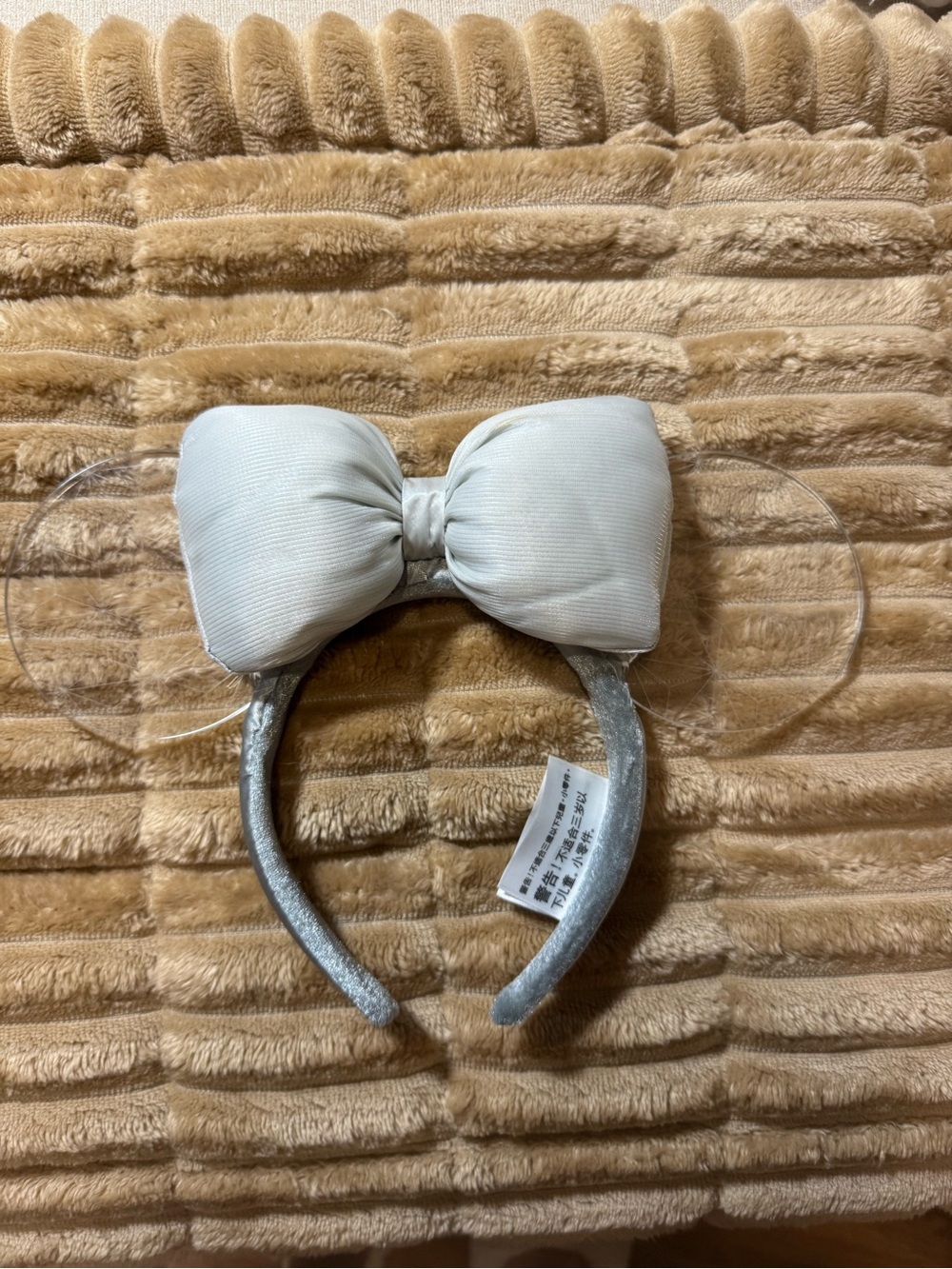 Epcot Disney ears